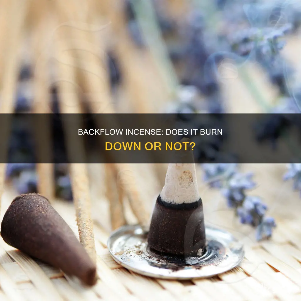 does backflow incense burn down