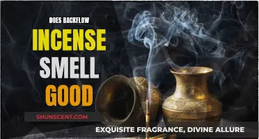 Backflow Incense: Fragrant or Foul Odor?