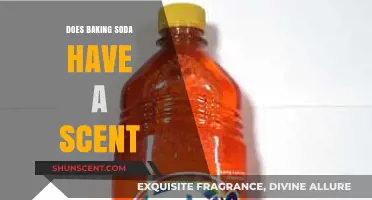 Does Baking Soda Have a Scent? Uncovering the Truth Behind the Odor