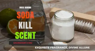 Baking Soda's Power: Eliminating Odors or Just a Myth?