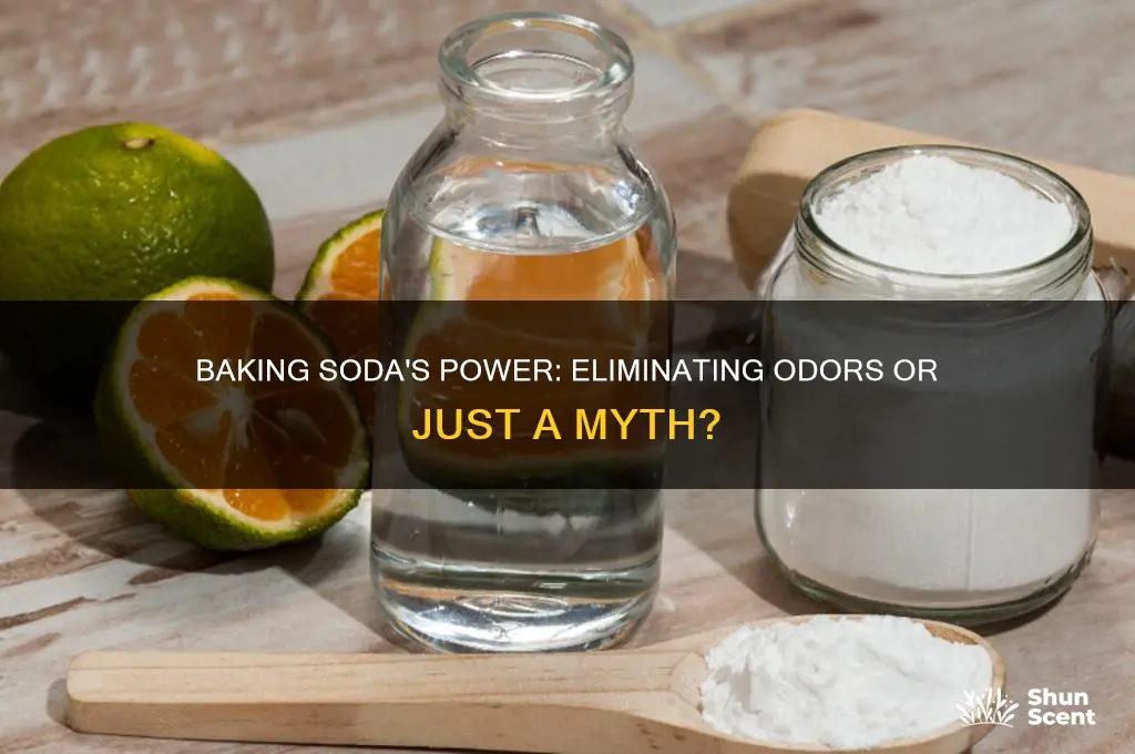 does baking soda kill scent