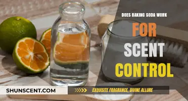Baking Soda for Scent Control: Myth or Effective Odor Solution?
