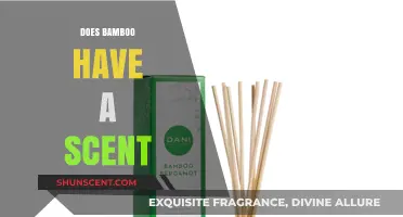 Does Bamboo Have a Scent? Unveiling the Aromatic Mystery of Bamboo