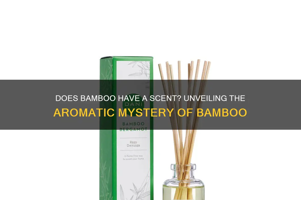 does bamboo have a scent