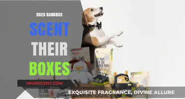 Does BarkBox Scent Their Boxes? Unveiling the Aromatic Mystery