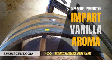 Barrel Fermentation: Vanilla Aroma Science Explained