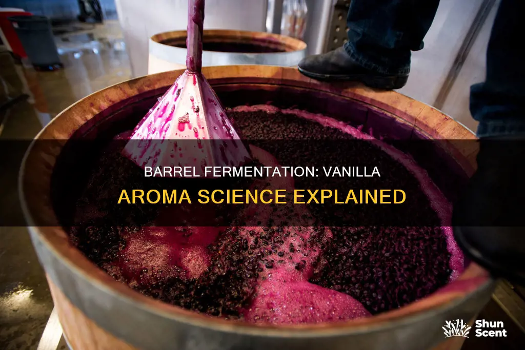 does barrel fermentation impart vanilla aroma