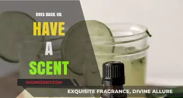 Does Basil Oil Have a Scent? Unveiling Its Aromatic Secrets