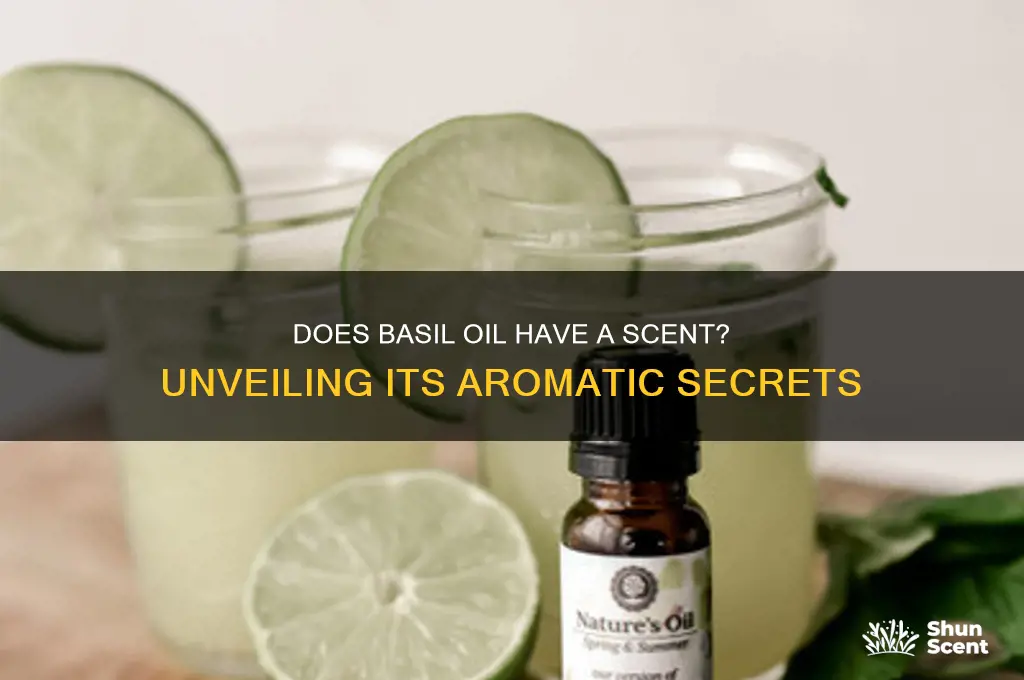 does basil oil have a scent