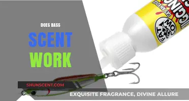 Does Bass Scent Really Attract Fish? Uncovering the Truth for Anglers