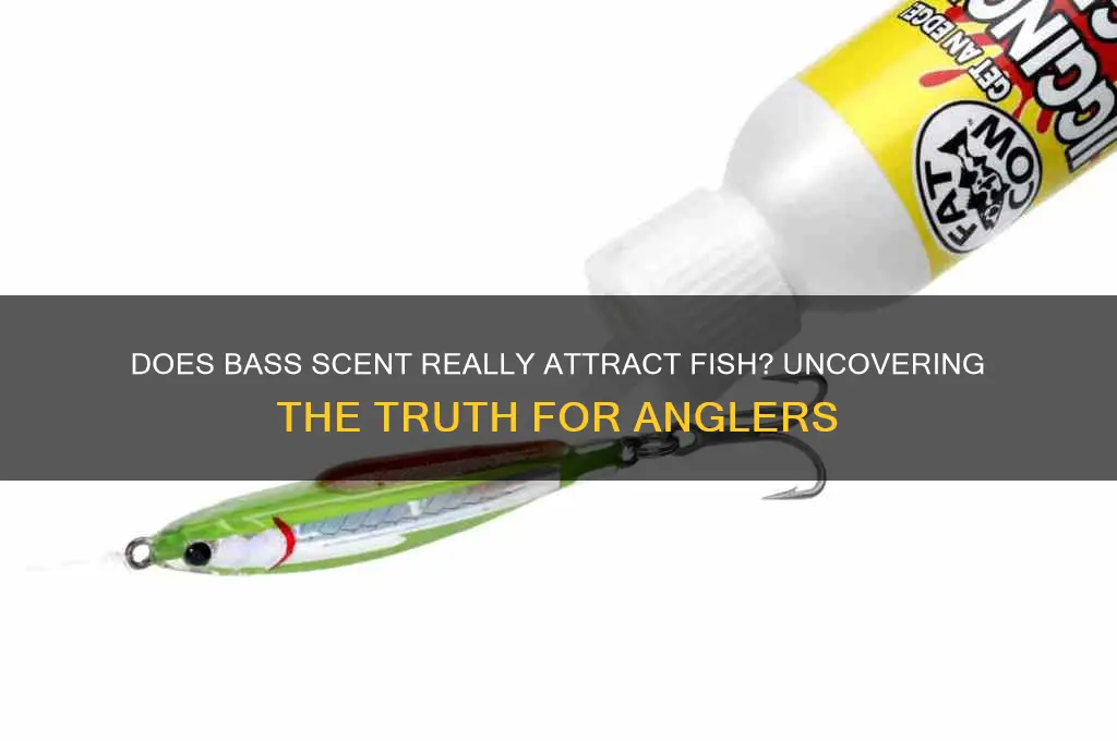 does bass scent work