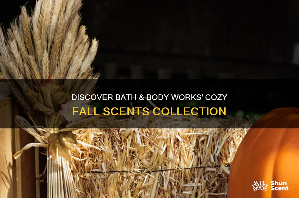 does bath and body works have fall scents