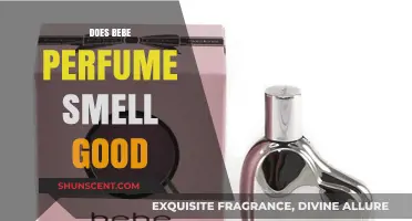 Bebe Perfume: Is It Worth the Hype?