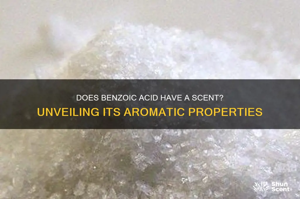 does benzoic acid have a scent