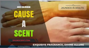 Does Bilirubin Cause a Scent? Unraveling the Science Behind Body Odor