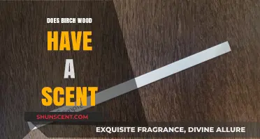 Exploring Birch Wood's Aromatic Qualities: Does It Have a Distinct Scent?