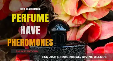 Black Opium: Does It Have Pheromones?