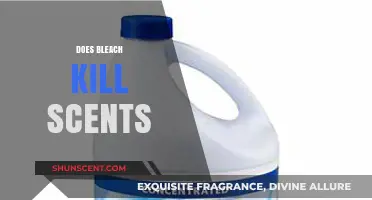 Does Bleach Eliminate Odors? Uncovering the Truth About Bleach and Scents