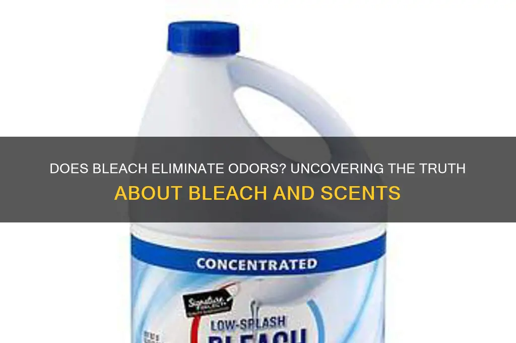 does bleach kill scents