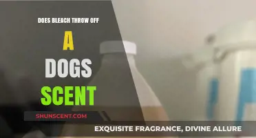 Can Bleach Disrupt a Dog's Scent Tracking Abilities? Find Out Here