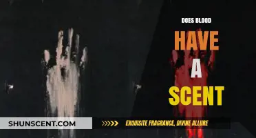Does Blood Have a Scent? Uncovering the Truth Behind the Smell