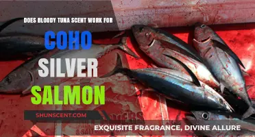 Does Bloody Tuna Scent Really Attract Coho Silver Salmon?