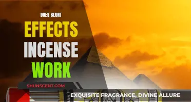 Blunt Effects Incense: Does It Work?