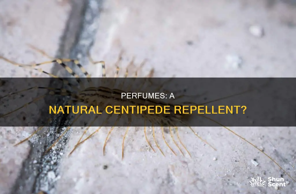 does body perfume kill centipedes
