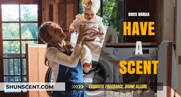 Does Borax Have a Scent? Uncovering the Truth About Its Odor