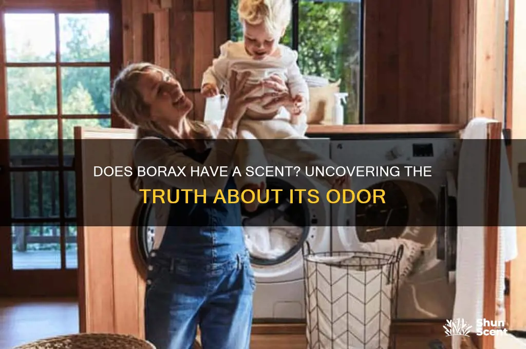 does borax have a scent