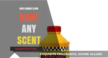 Does Brake Fluid Have a Scent? Uncovering the Truth