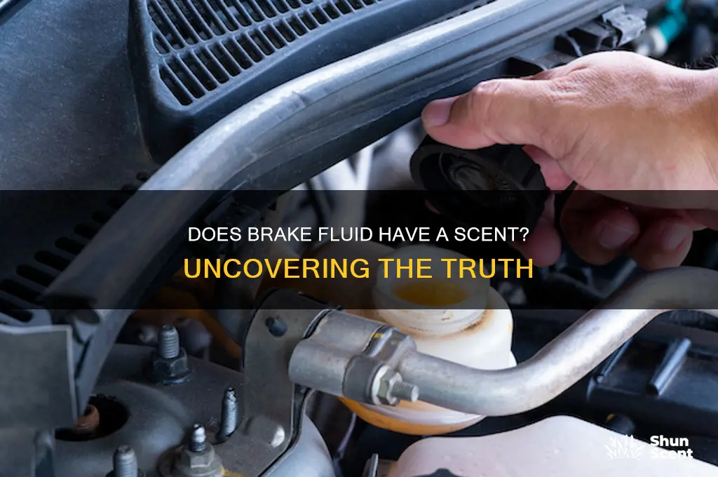 does brake fluid have any scent