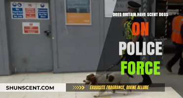 Sniffing Out Crime: Britain's Use of Scent Dogs in Policing