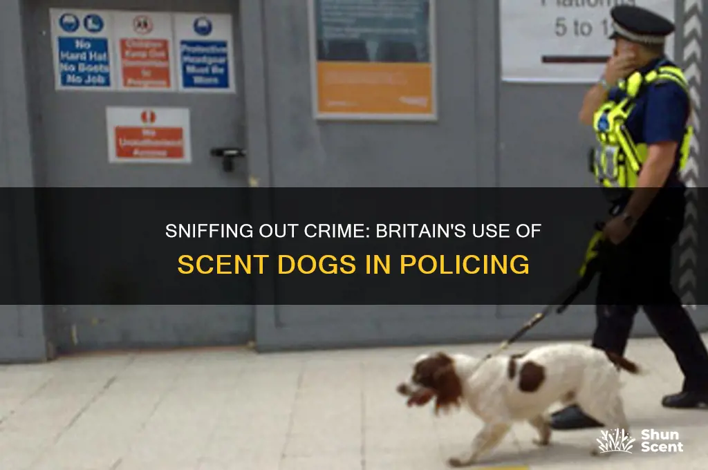 does britain have scent dogs on police force