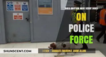 Do UK Police Forces Utilize Scent Dogs in Their Operations?