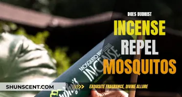 Incense and Insects: The Mosquito-Repelling Power of Buddhist Incense