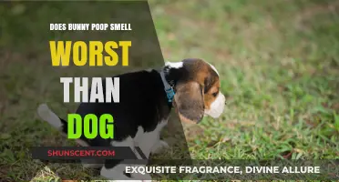 Comparing Bunny and Dog Poop: Which One Really Stinks More?