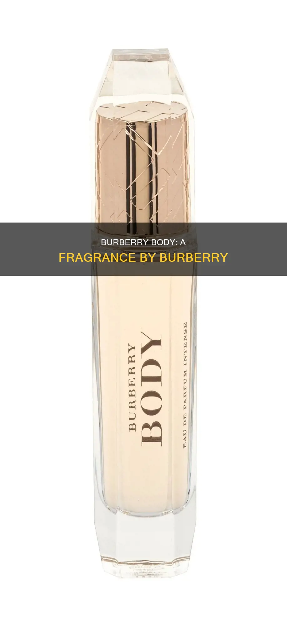 does burberry make a perfume called body