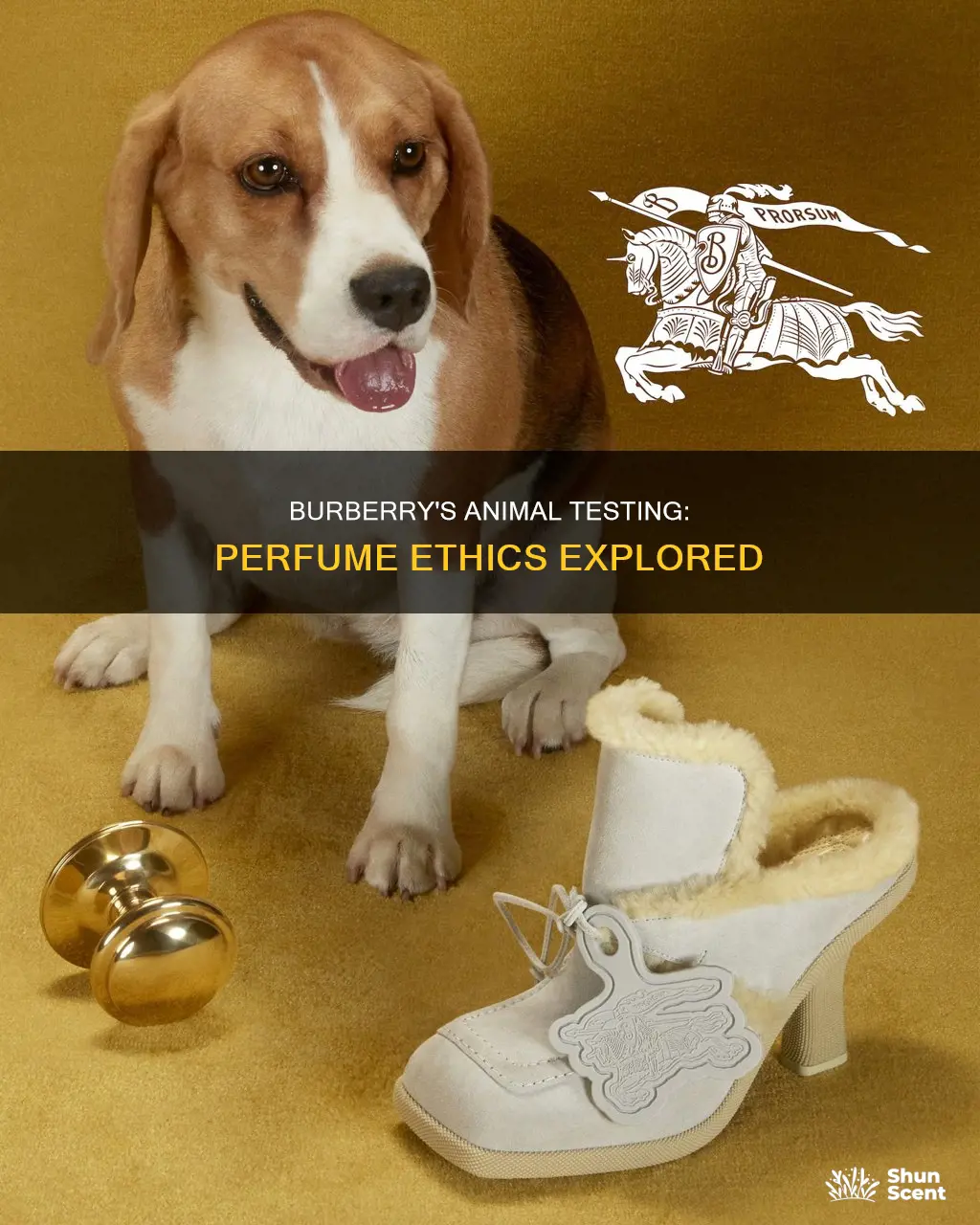 does burberry perfume test on animals