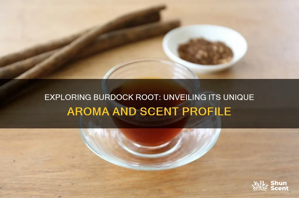 does burdock root have a scent