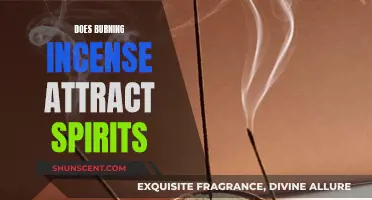 Incense and Spirits: An Ancient Connection?