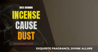 Incense Burning: A Cause of Dust in Homes?
