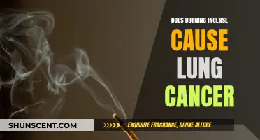 Incense Burning: A Lung Cancer Risk?
