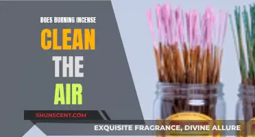 Incense Burning: Air Purifier or Pollutant?