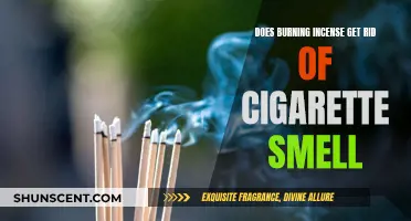 Incense and Cigarettes: A Smoky Odor Solution?