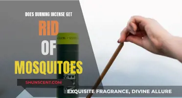 Incense and Mosquitoes: An Effective Repellent or Just Smoke?