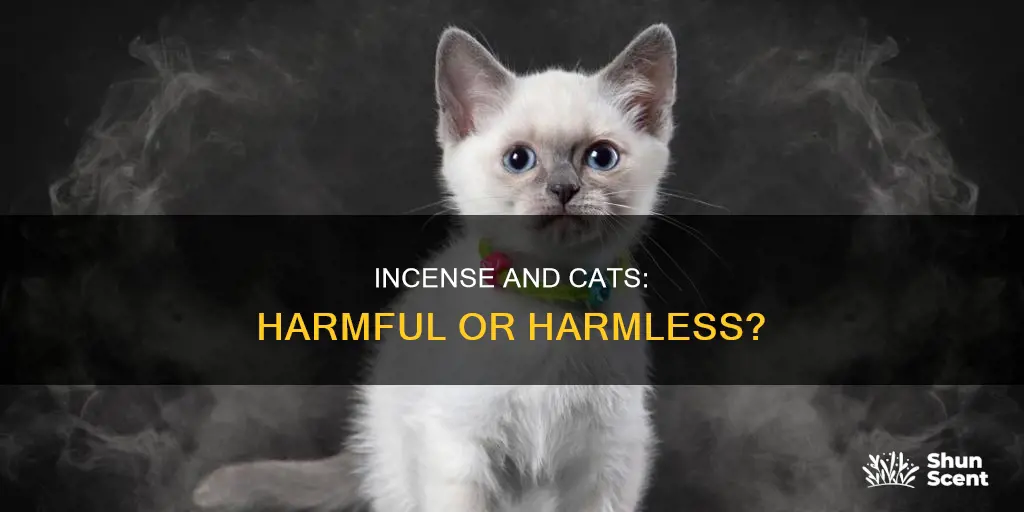 does burning incense harm cats