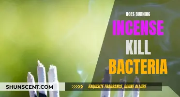 Incense and Bacteria: The Science of Smoke and Health
