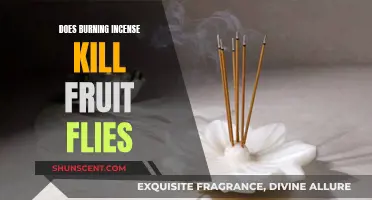 Incense and Fruit Flies: A Natural Repellent?
