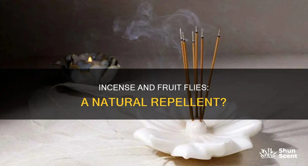 does burning incense kill fruit flies